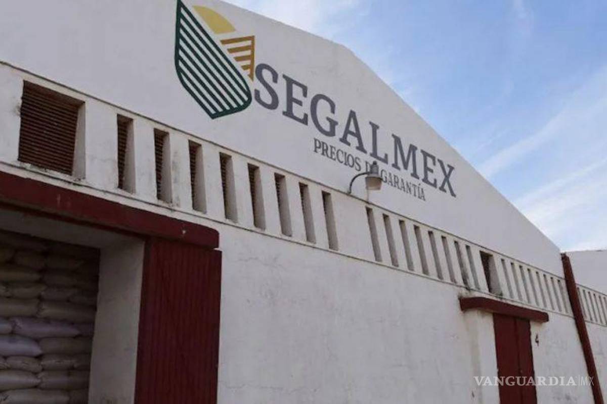 Segalmex, Diconsa y Liconsa en grave desastre financiero; detectan irregularidades en operación de 9 mil 500 mdp