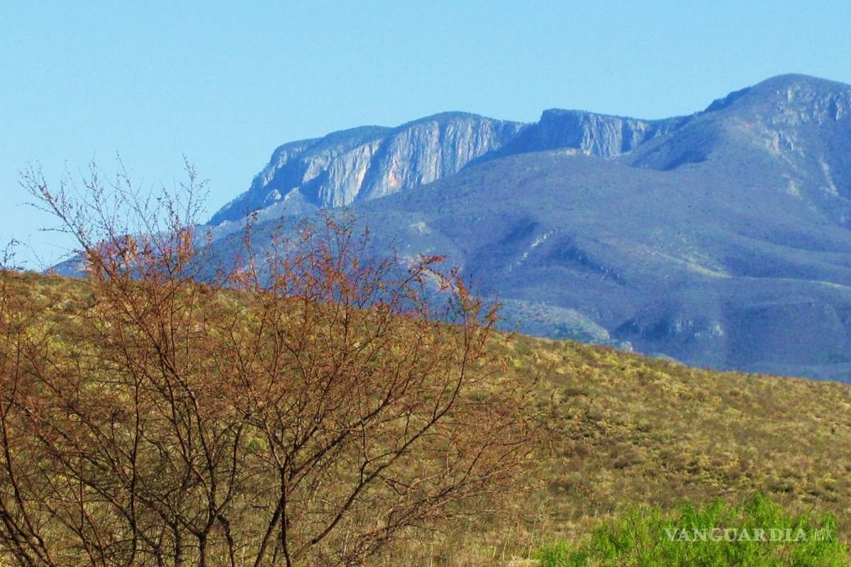 Rescatan a siete jóvenes perdidos en el cerro La Gloria de Monclova