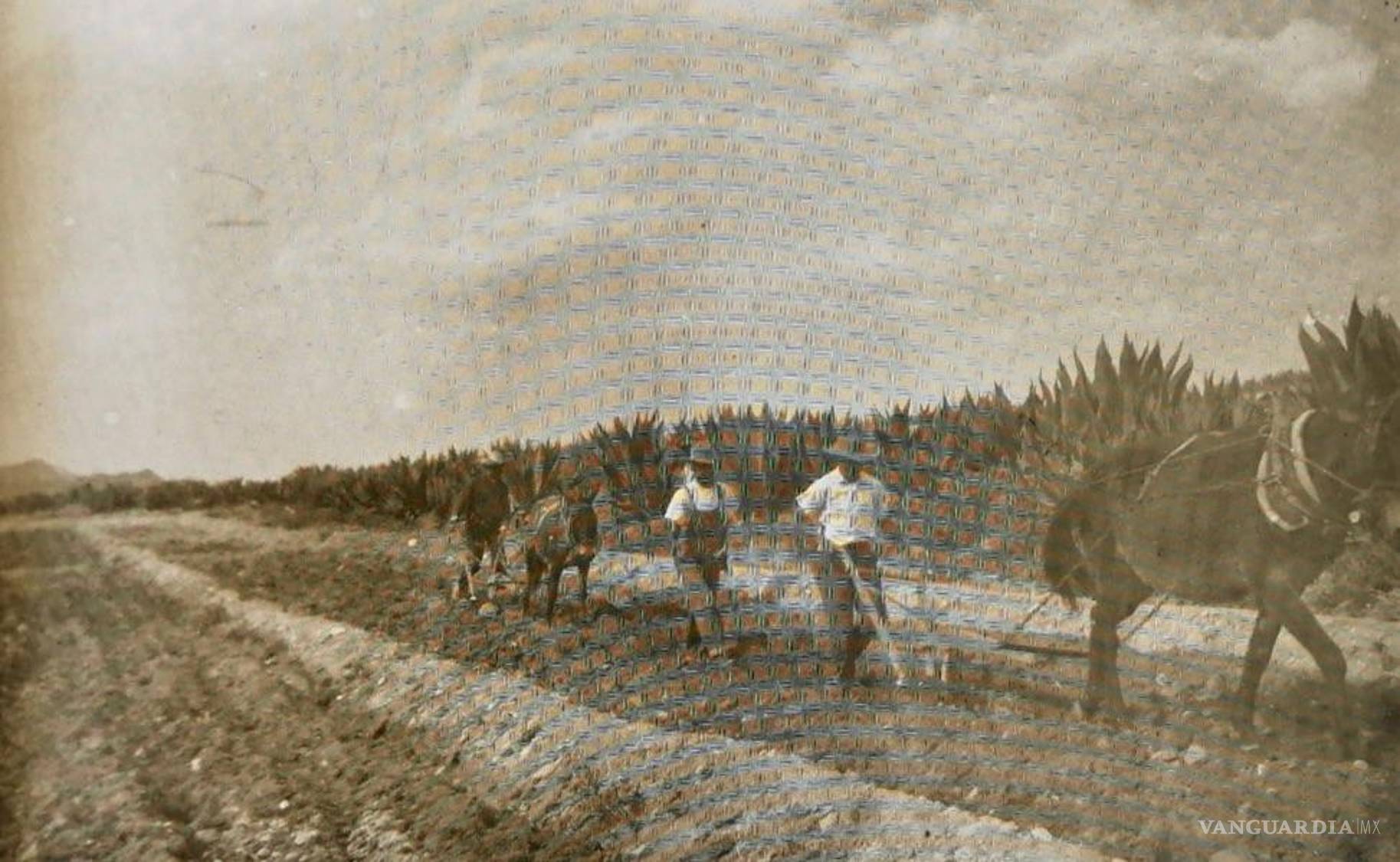 $!Mejorando la agricultura con conocimiento técnico y teórico.