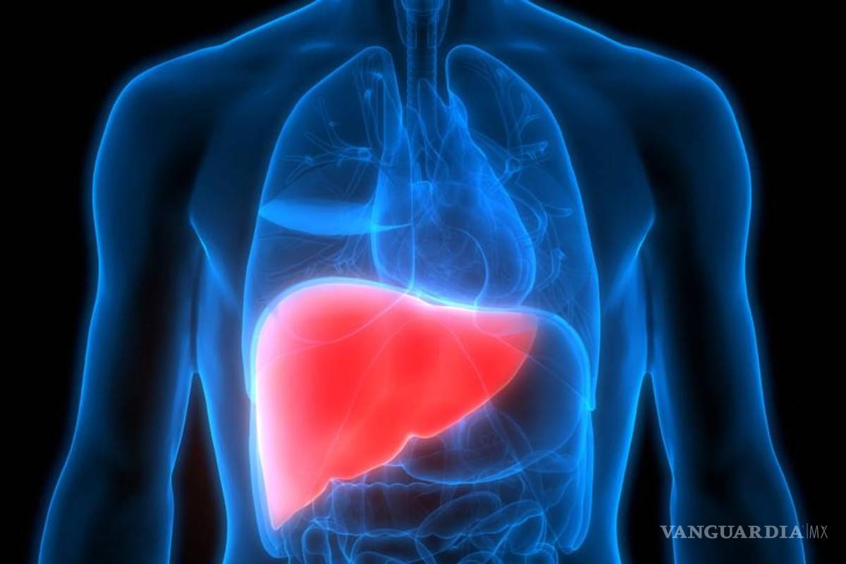 Pediatras alertan por llegada de hepatitis aguda de niños; 10% de pacientes podrían requerir trasplante de hígado