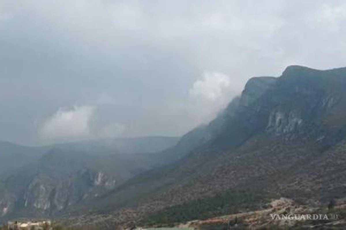 Acechan fraccionadores al bosque de Arteaga; de 30 proyectos solo uno se ha autorizado