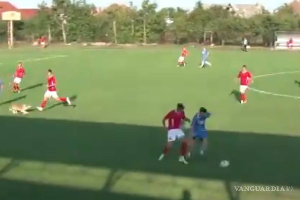 Un jugador de futbol se lesiona...¡por culpa de un perro!