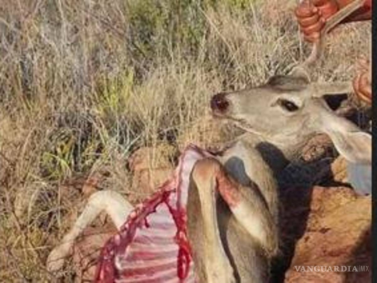 $!En sus redes sociales, el regidor presumió la caza del animal.