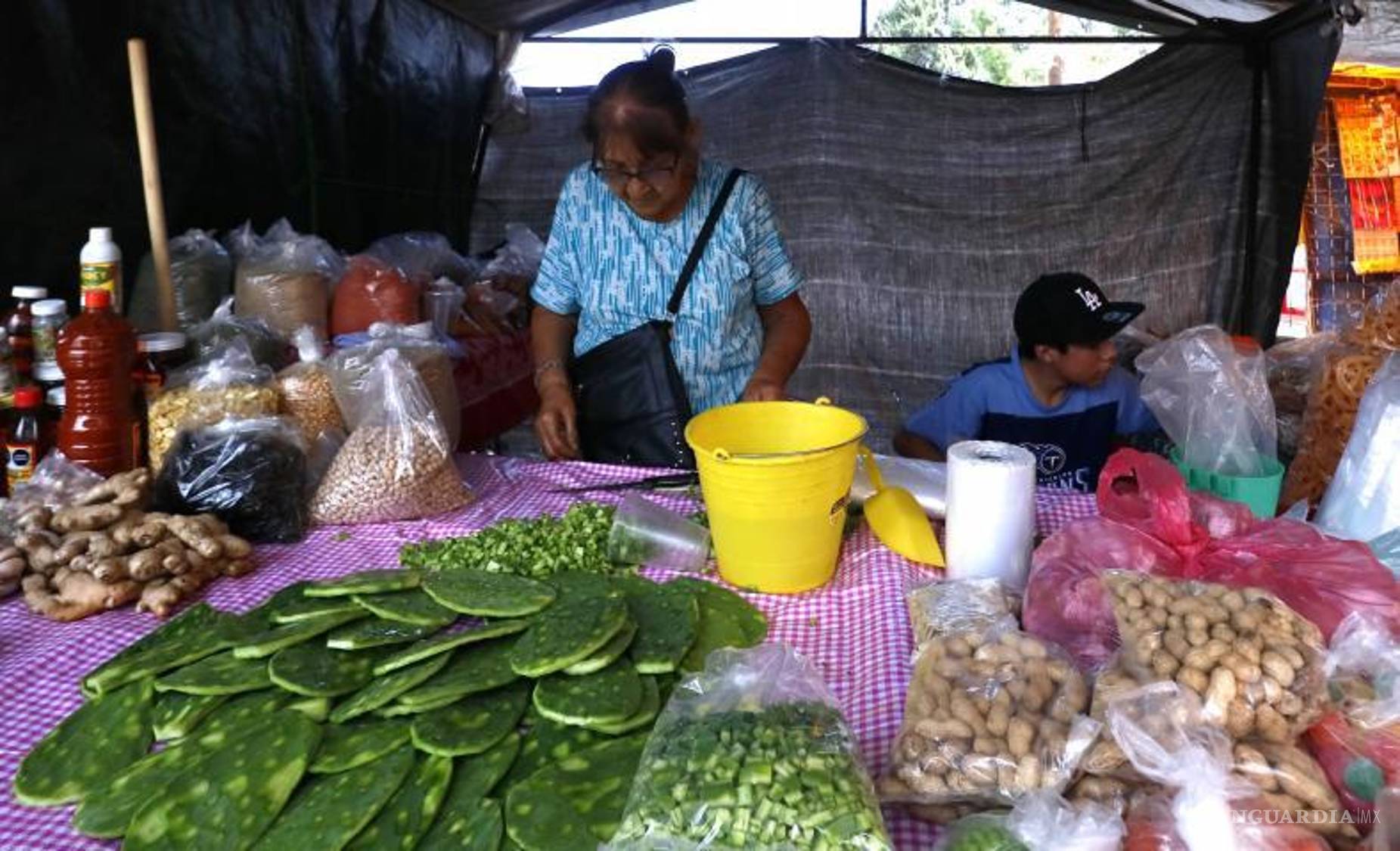 $!Los mercaditos Álamo 2, Australia, Mirasierra Las Palmas, Misión Cerritos, 10 de Mayo, Andalucía, Nuevo Federico Berrueto, Guerrero, Nuevo Teresitas y Colinas de San Lorenzo operan en el horario vespertino-nocturno.