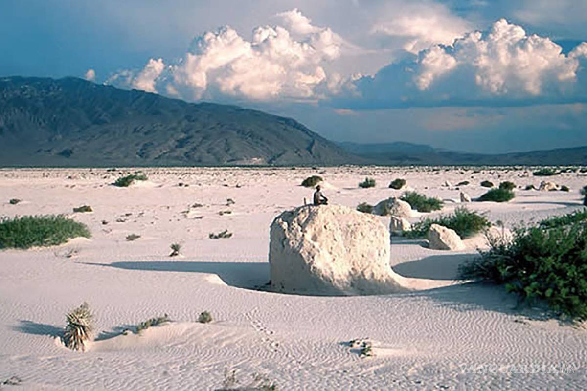 Cuatrociénegas en la Bienal de Venecia : ‘Actos de Dios’ y el presente de la posverdad