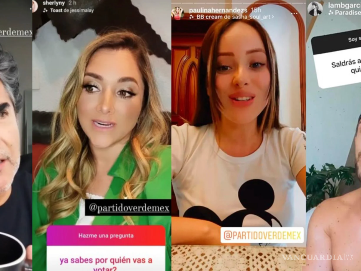 $!Para imponer las multas, según el Tribunal, se tuvo en cuenta información sobre los ingresos y los bienes de los influencers y las particularidades de cada caso.