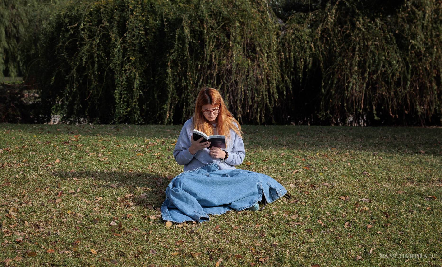 $!La alta sensibilidad se refiere a una mayor percepción y sensibilidad a estímulos del entorno, incluyendo luces, sonidos y texturas.