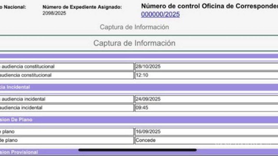 $!Además de Andy y Bobby López Beltrán, ¿quiénes son los otros funcionarios y empresarios amparados?