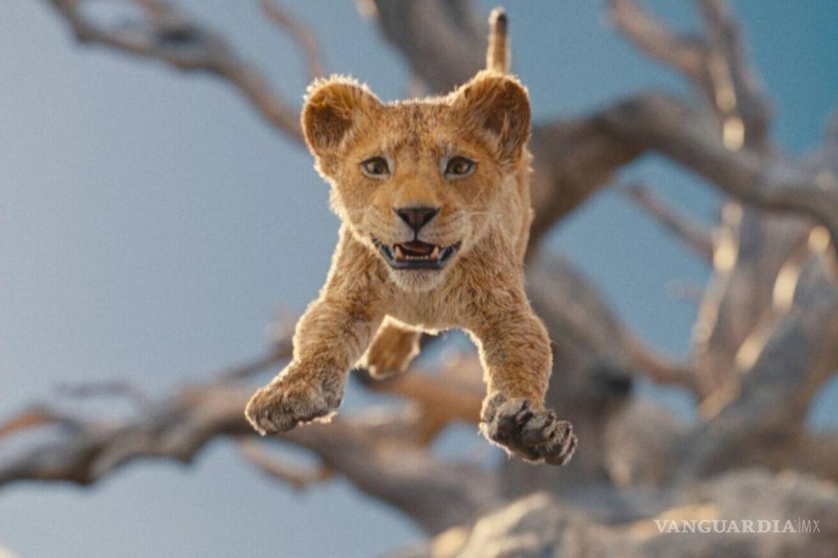 Rugido de ‘Mufasa’ opaca el estreno de ‘Nosferatu’ y ‘biopic’ de Bob Dylan con Timothée Chalamet