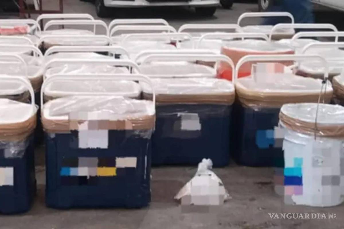 Asegura Semar laboratorios clandestinos en Michoacán