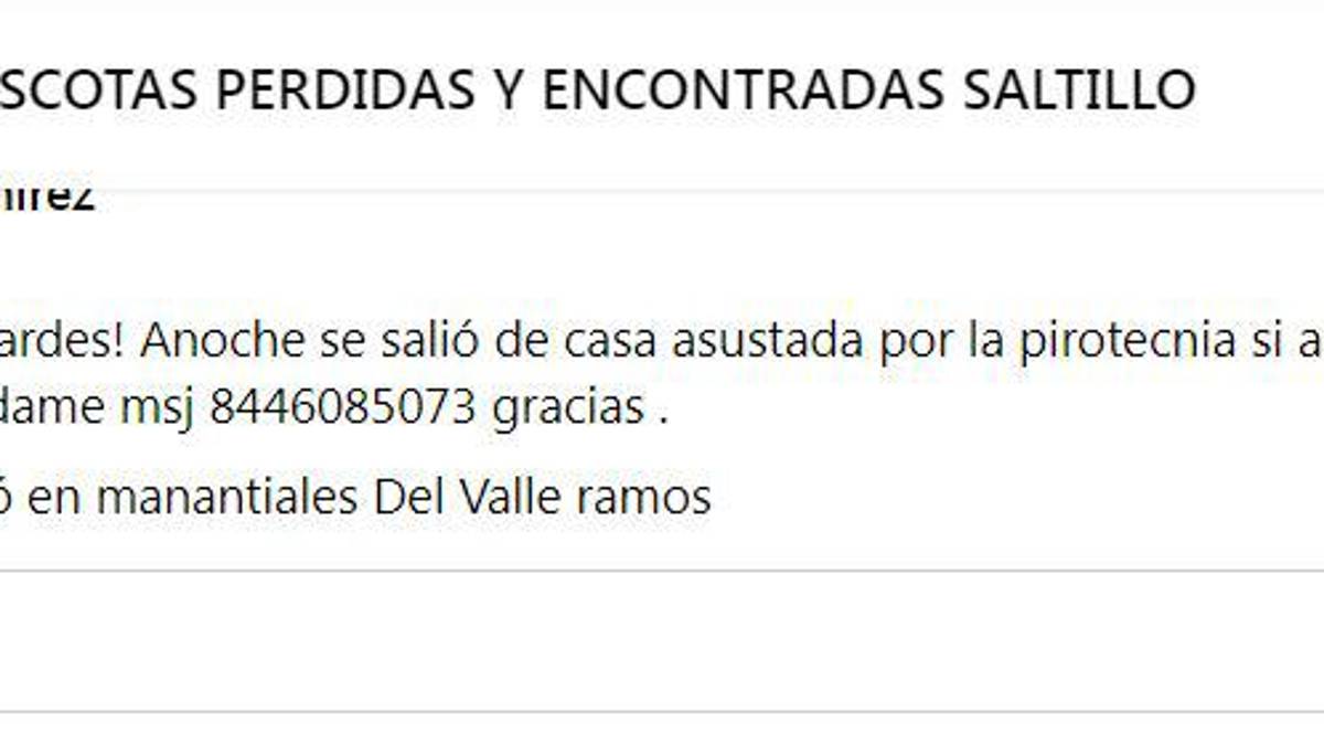 A dos días de Noche Buena continúa búsqueda de cachorros que huyeron por pirotecnia en Saltillo