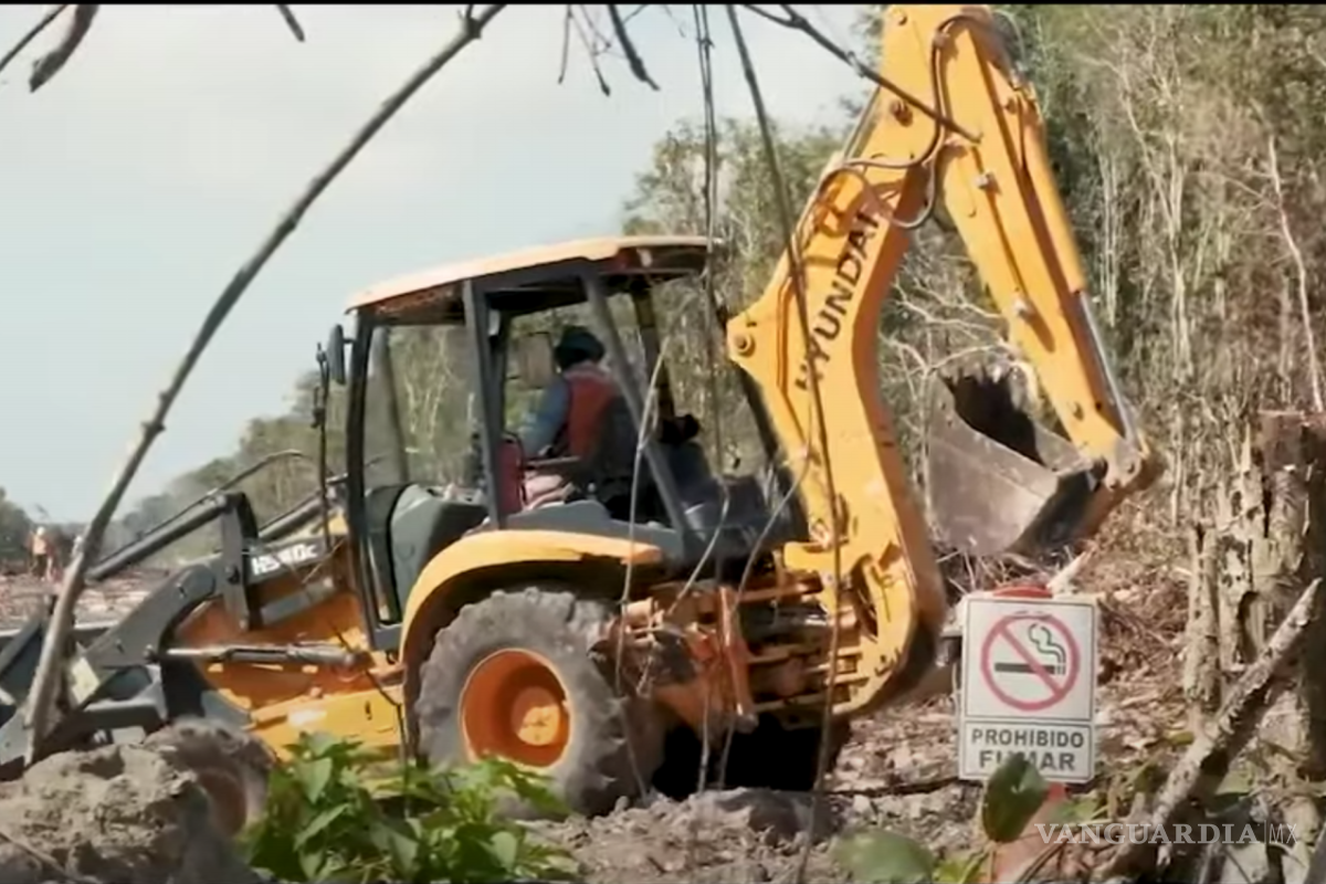 $!La iniciativa fue respaldada por Greenpeace México, organización que está recaudando firmas que se oponga a la construcción del tramo.