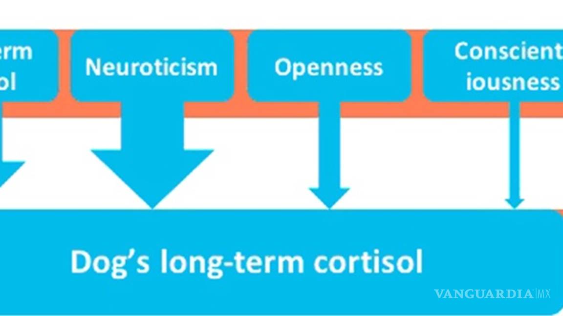 $!Cuando tú estás estresado, tu perro también lo siente