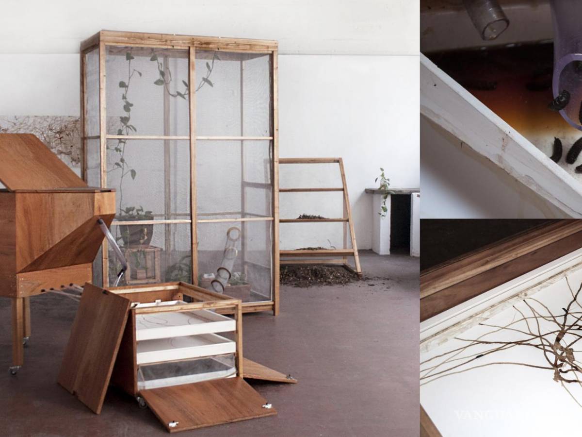 $!Obras de Virginia Buitrón.