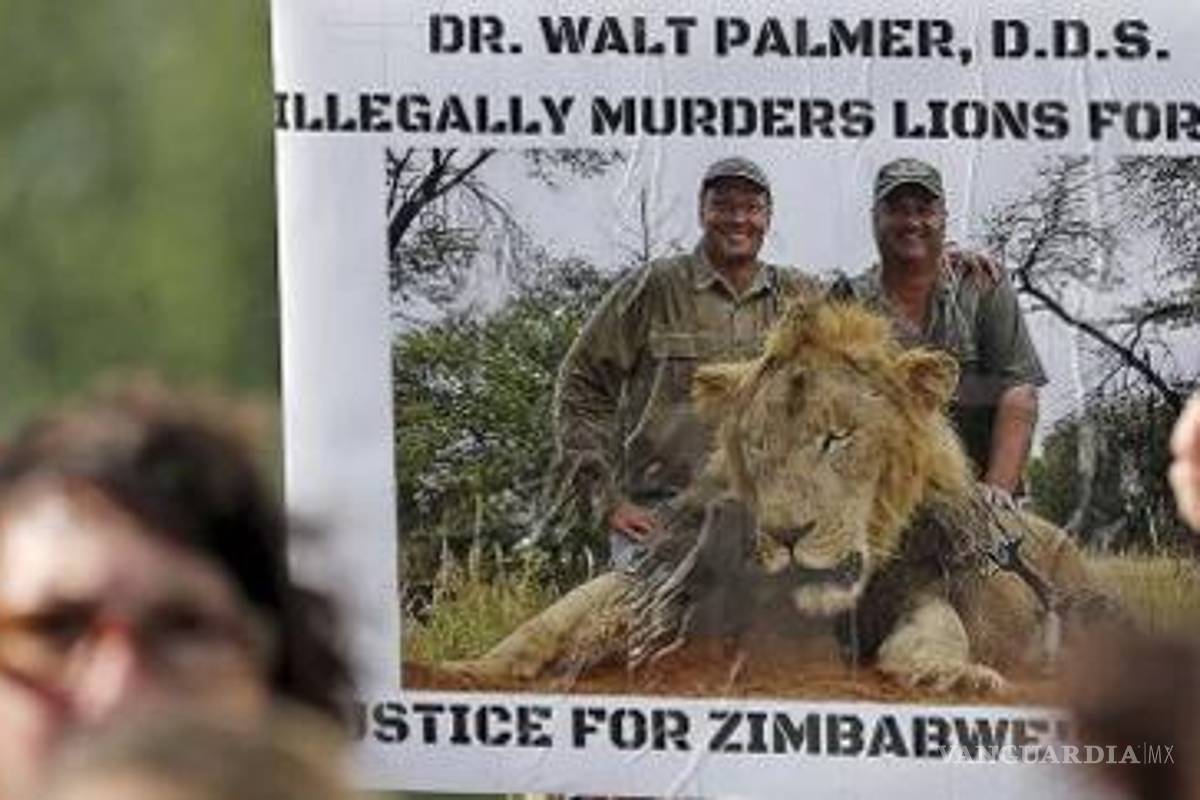 Cazador primero mató a famoso león ahora a carnero salvaje protegido