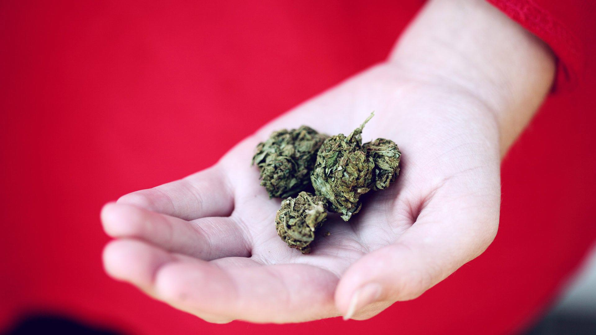 $!En Hawái está despenalizado el consumo de mariguana en dosis menores.