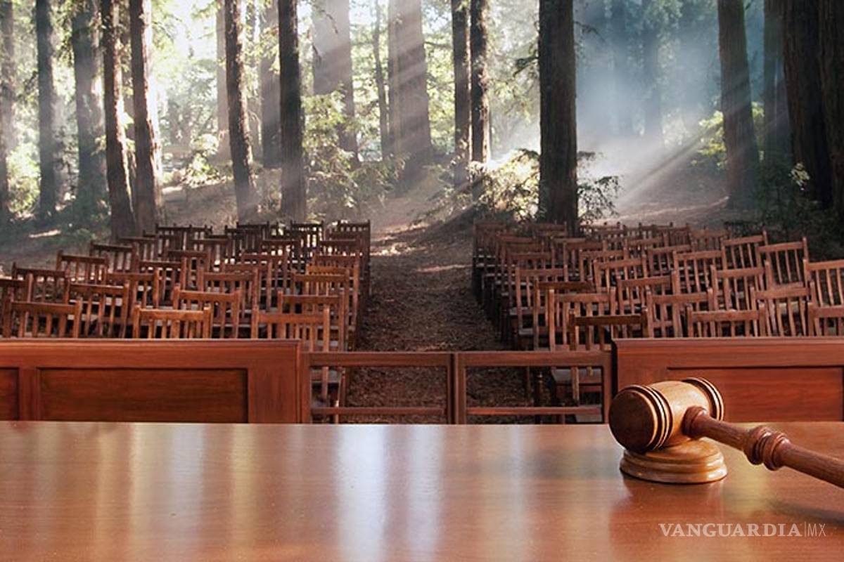 Ecologistas anotan su primer triunfo ante el Gobierno del presidente, Donald Trump