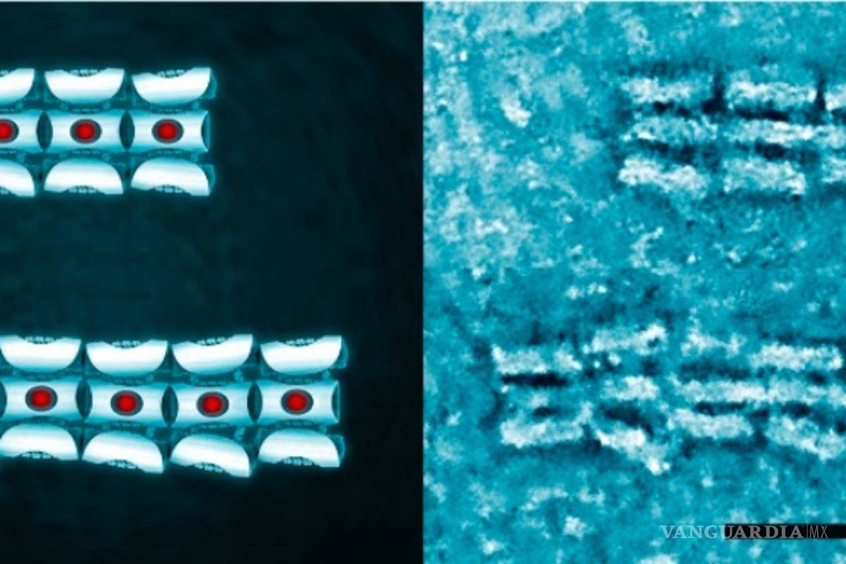 $!Nanobots, robots de ADN que permitirán curar heridas, desobstruir arterias y administrar medicamentos