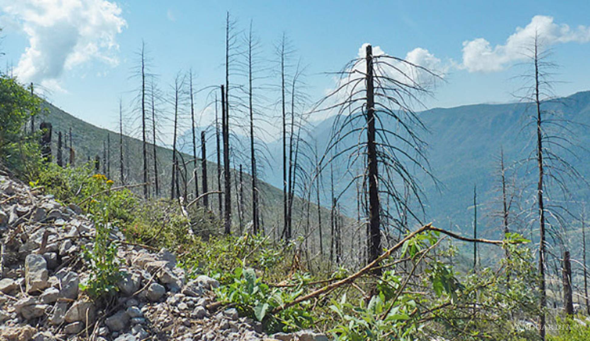 $!Lo que el incendio se llevó: un paisaje que nunca más verán nuestros ojos