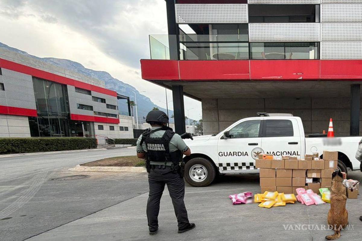 Enviaban desde Nuevo León droga por mensajería a 22 estados de México, entre ellos, Coahuila