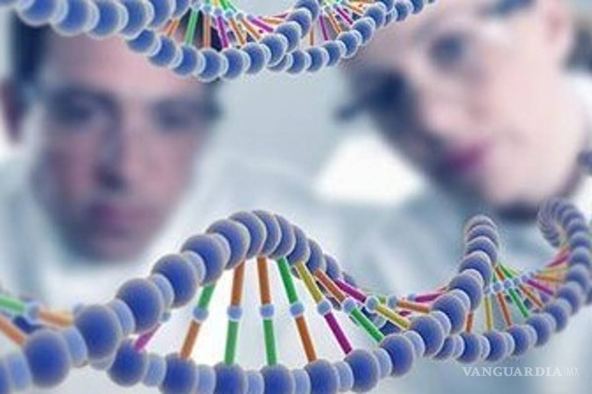 $!Los gays ¿nacen o se hacen?: implicaciones socioculturales y religiosas