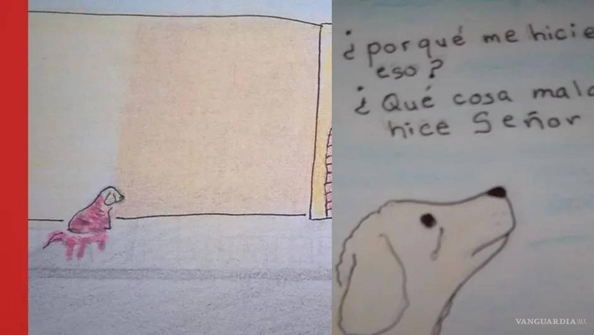 $!Mily se convirtió en símbolo de la lucha contra la crueldad animal en Coahuila.
