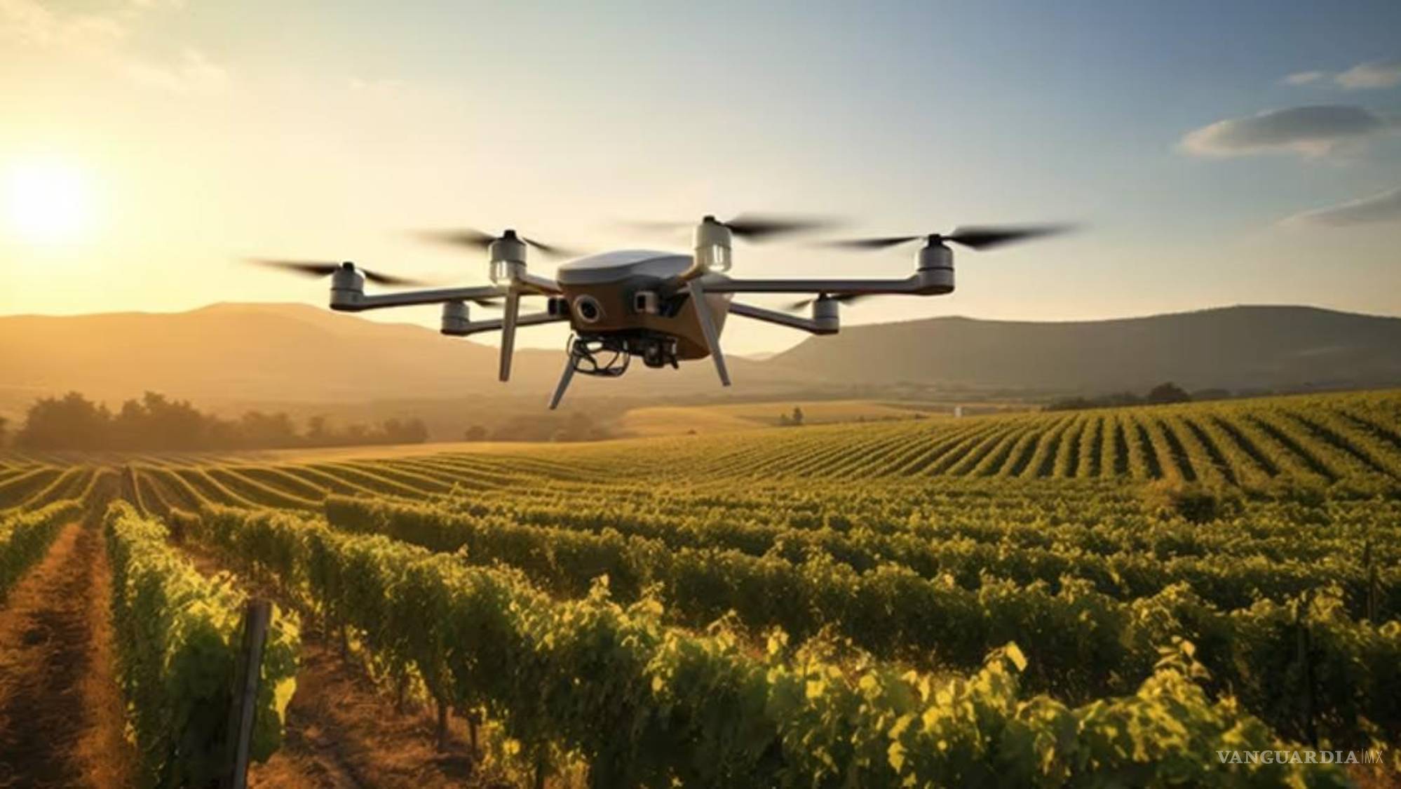 $!La gestión de múltiples drones en grandes viñedos sigue siendo un reto logístico y operativo. | Foto: Especial