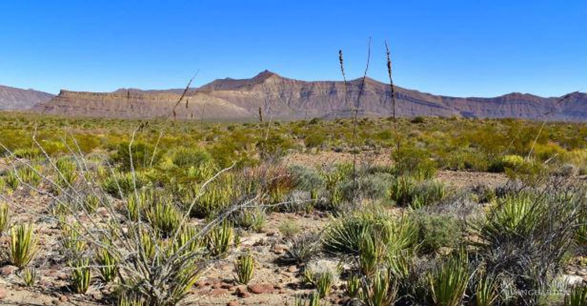 $!General Cepeda es el recién nombrado Pueblo Mágico de Coahuila.