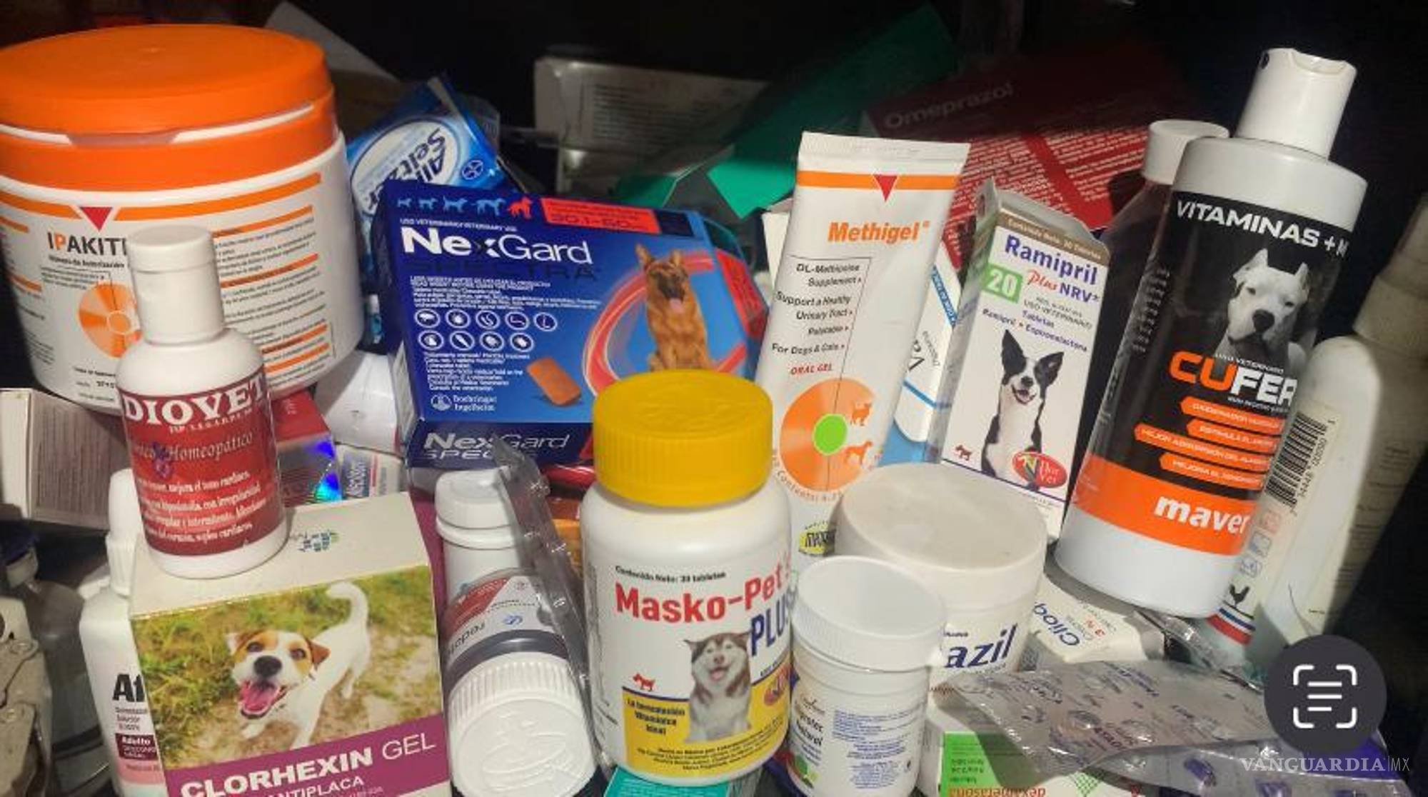 $!Sus animales requieren mucho medicamento muy costoso, pues casi todos están desahuciados.