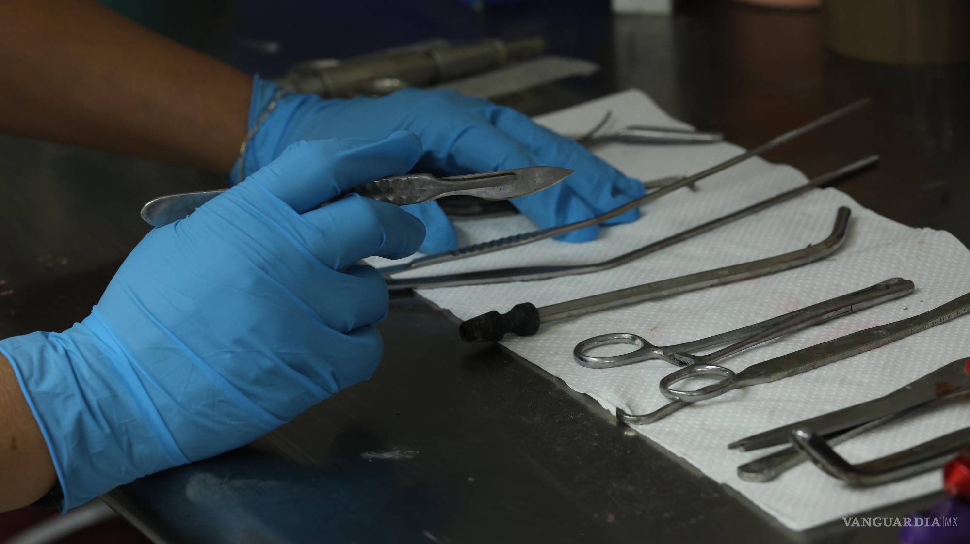 $!Bisturís, cánulas y pinzas son parte de los instrumentos que se usan sobre la plancha. Martín recuerda que, al inicio, le temblaban las manos en su primera incisión: “Pensé que esto no era para mí”.