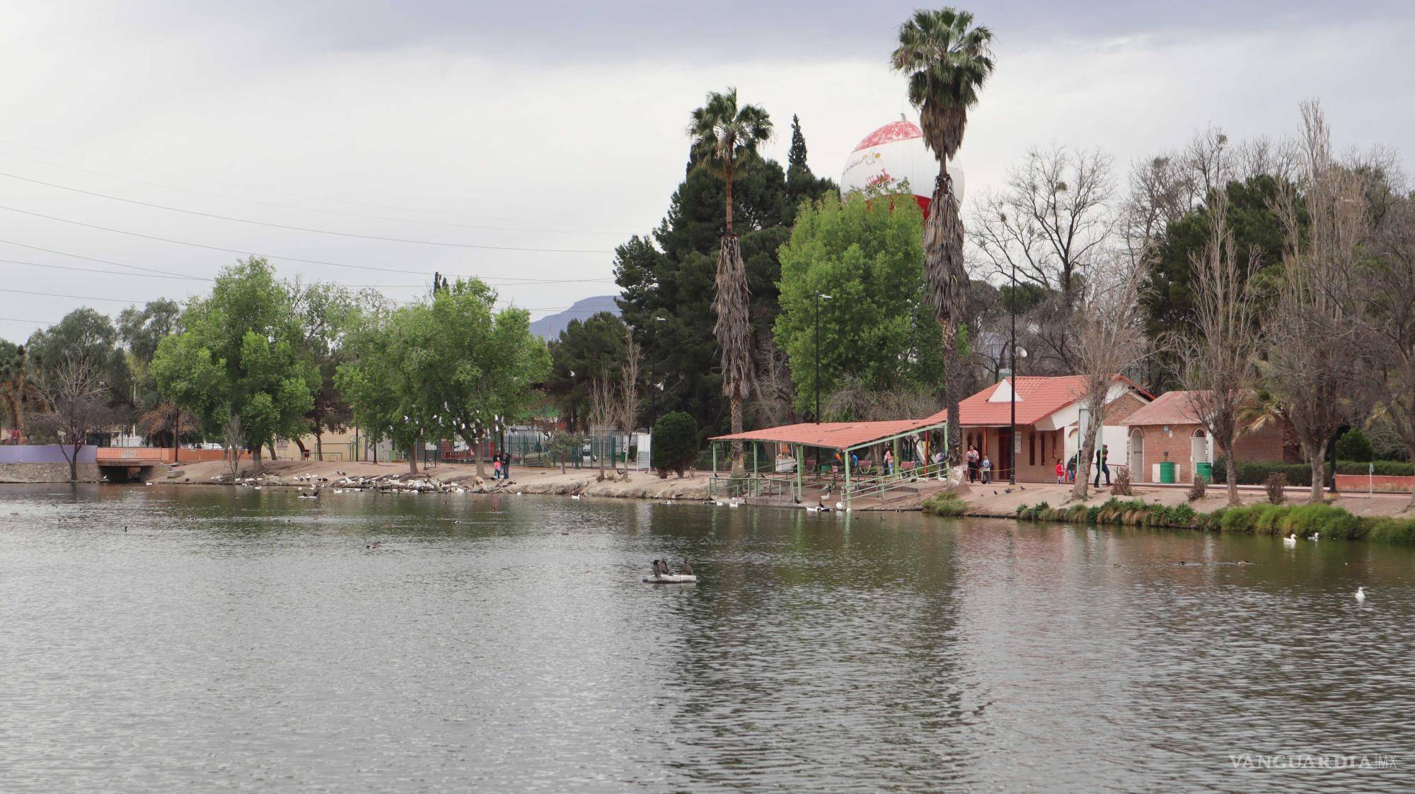 $!Los muelles son usados por los ciudadanos para alimentar a los patos.