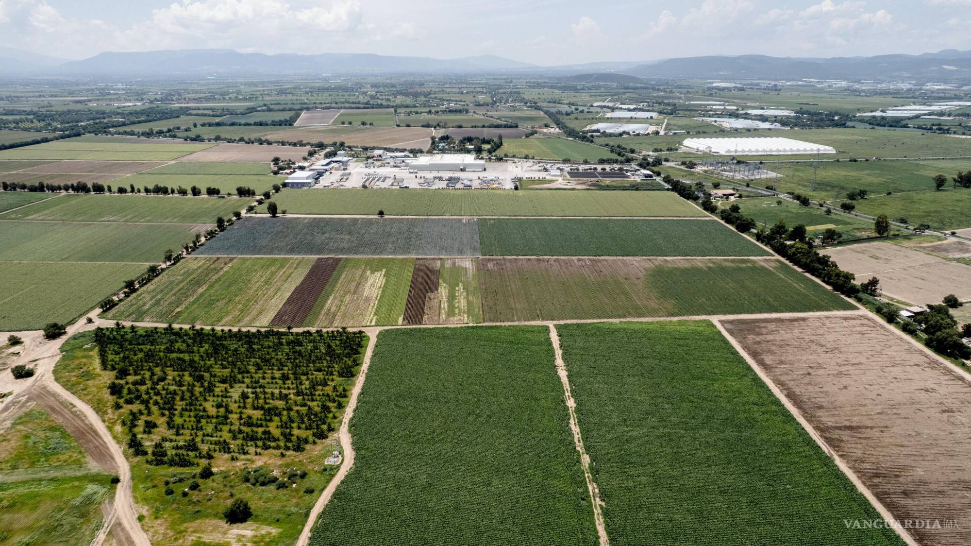 $!Campos de cultivo detrás de la planta procesadora de Taylor Farms en Doctor Mora, Guanajuato, México.