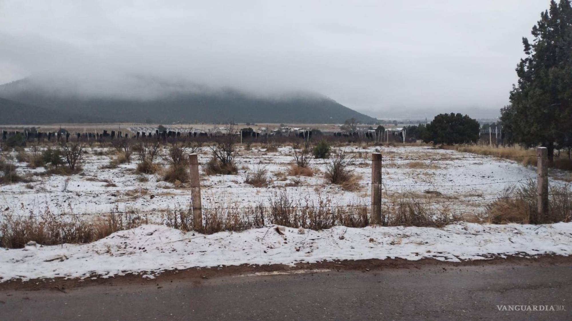 $!Protección Civil estuvo presente en los puntos más afectados por el hielo, asegurando la seguridad de los visitantes durante la madrugada.