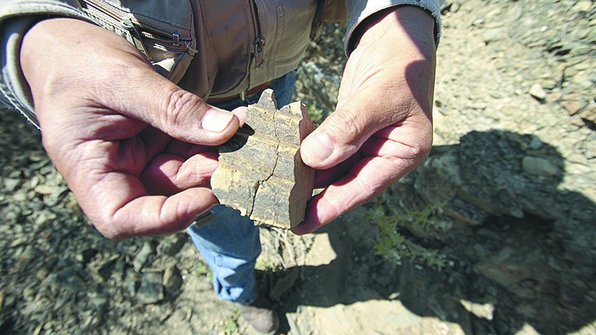 $!El hombre que da vida a los dinosaurios