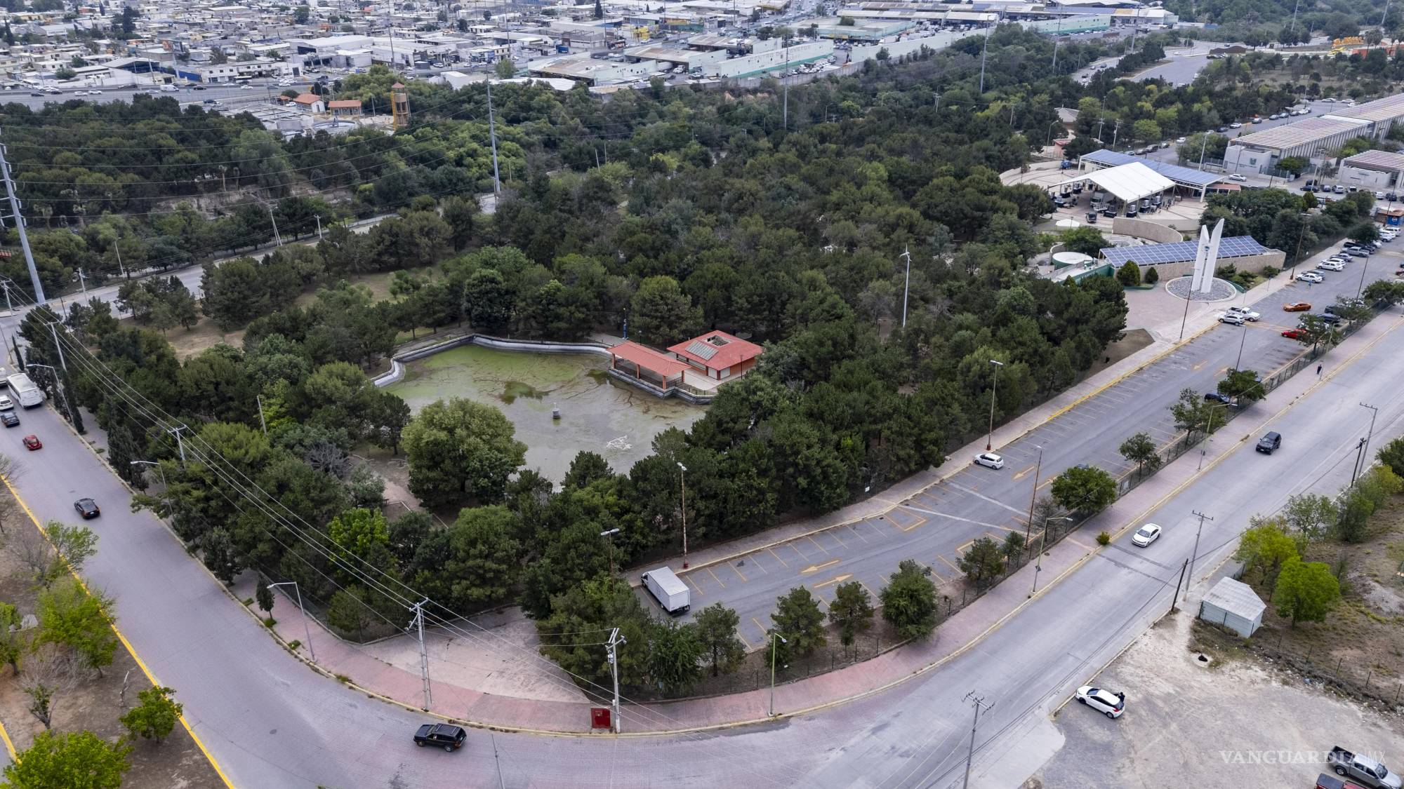 $!Autoridades ambientales también realizan labores de limpieza y saneamiento en el estanque para preservar las áreas verdes y la fauna del parque.