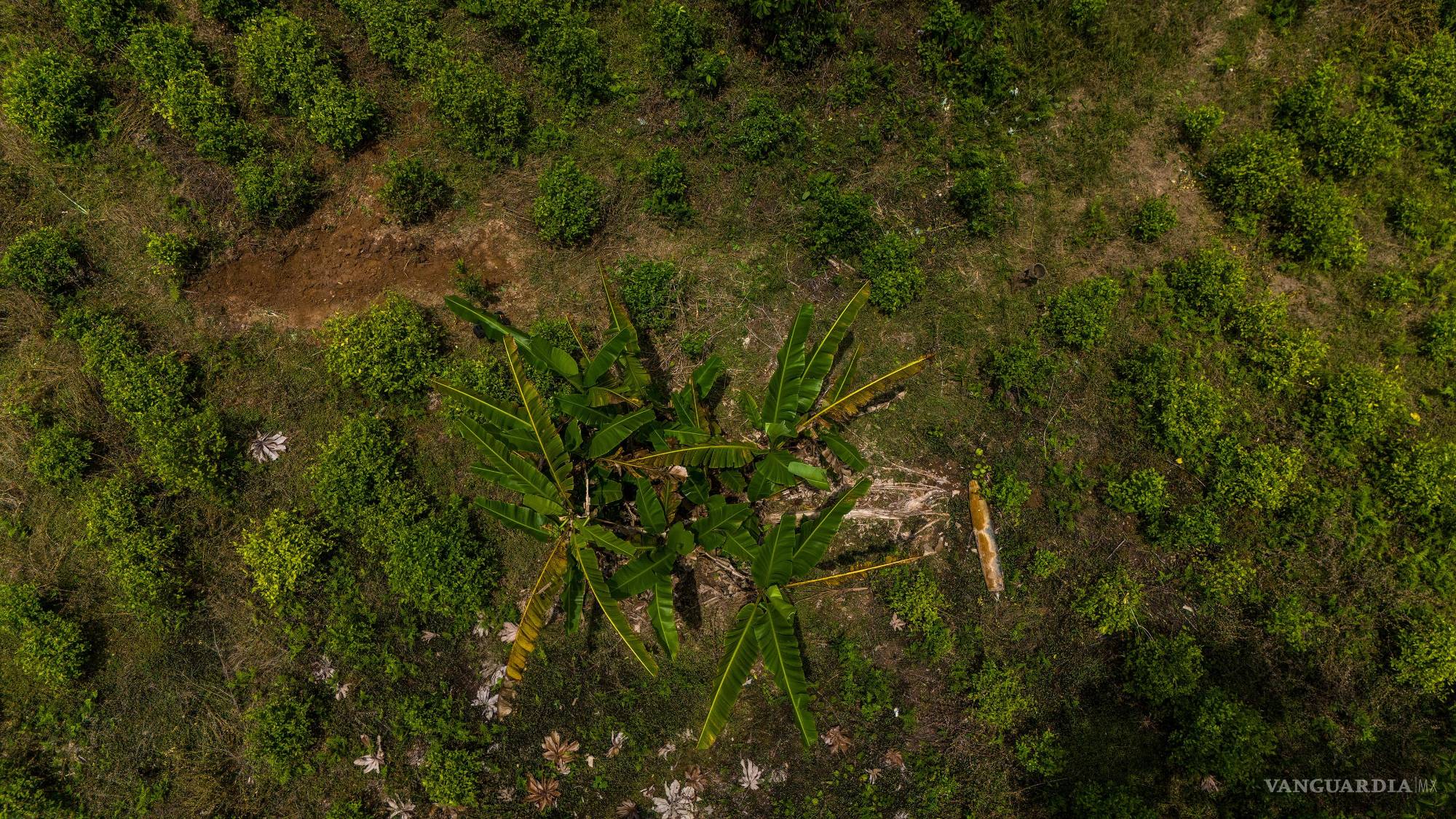 $!El presidente de Colombia, Gustavo Petro, ordenó a los militares colombianos que se deshicieran de la bomba, que aún está activa.