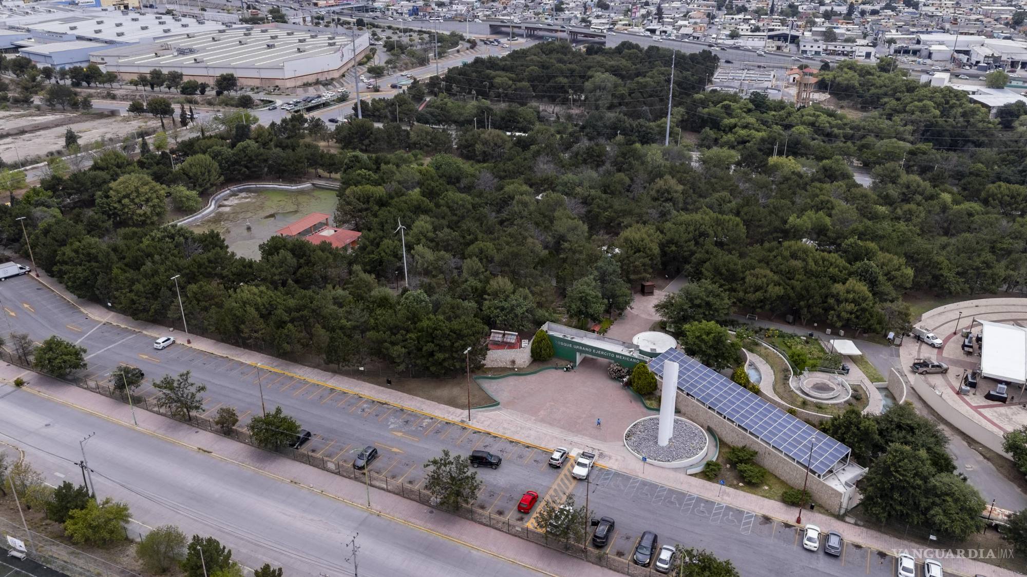 $!El encargado del Bosque Urbano explicó que las filtraciones derivadas de fisuras en la membrana del lago dañaron la zona radicular del laberinto vegetal.