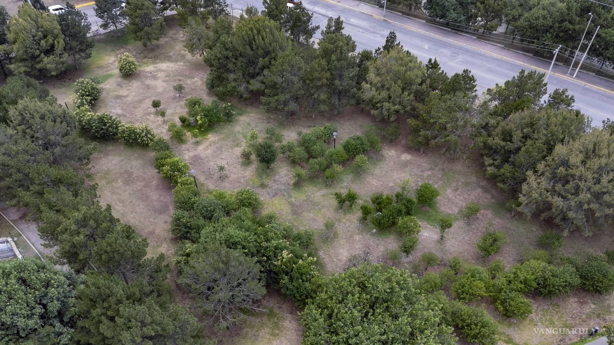 $!Autoridades ambientales proyectan reforestar completamente el laberinto del BUEM con entre mil y mil 500 plantas de trueno para recuperar su diseño original.