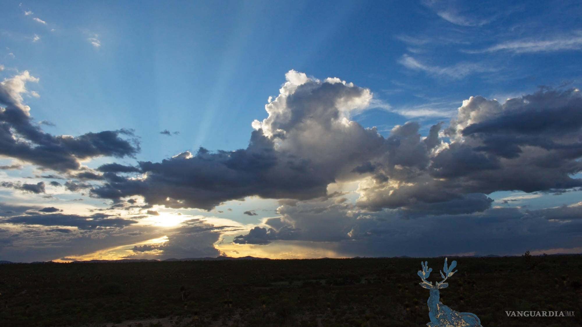 $!Artista coahuilense Mercedes Aqui lleva imágenes del desierto de Wirikuta al Met de Nueva York