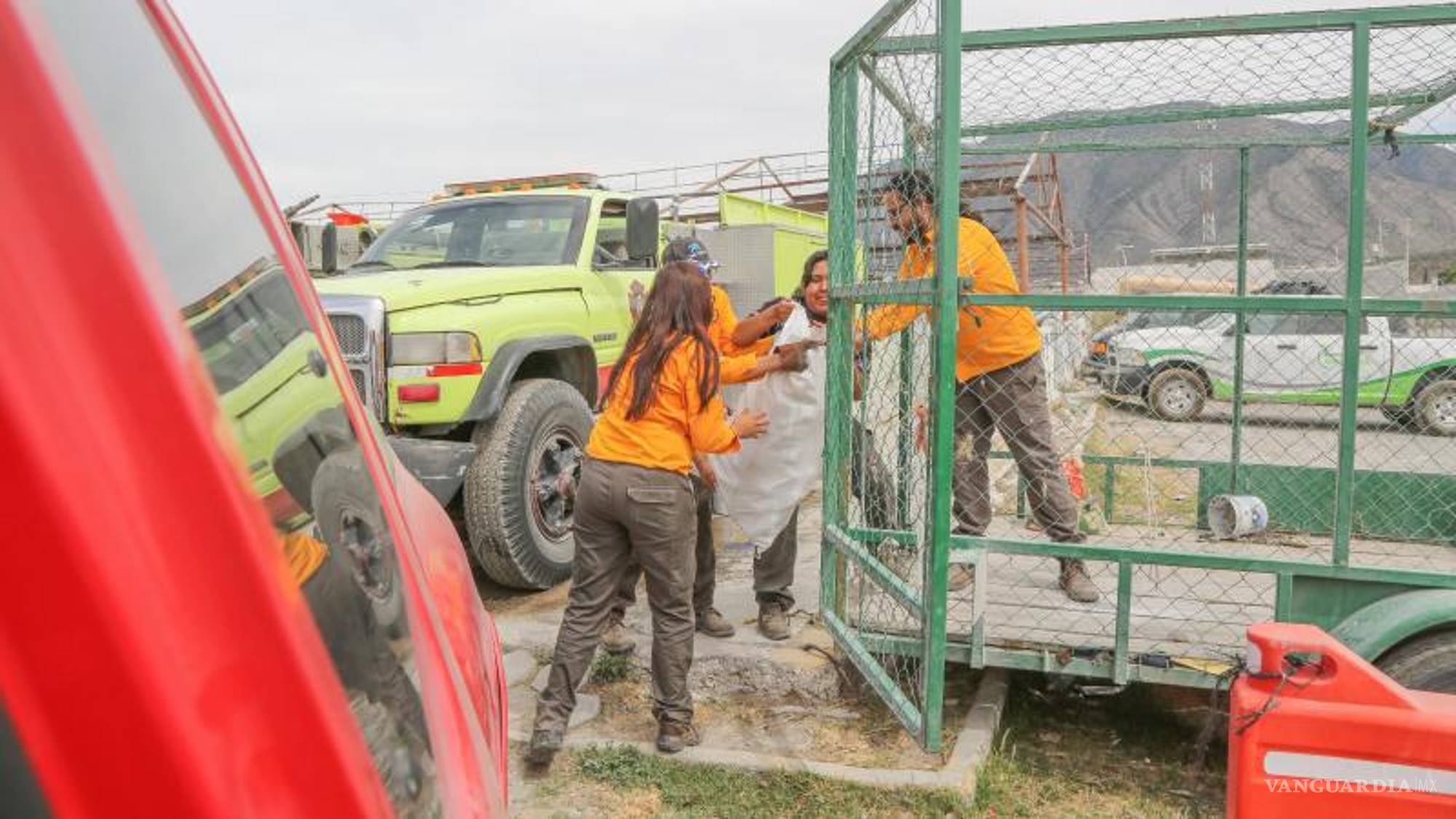 $!“Queremos invitar a la gente para que participe y nos comparta sus fotos por redes sociales”.