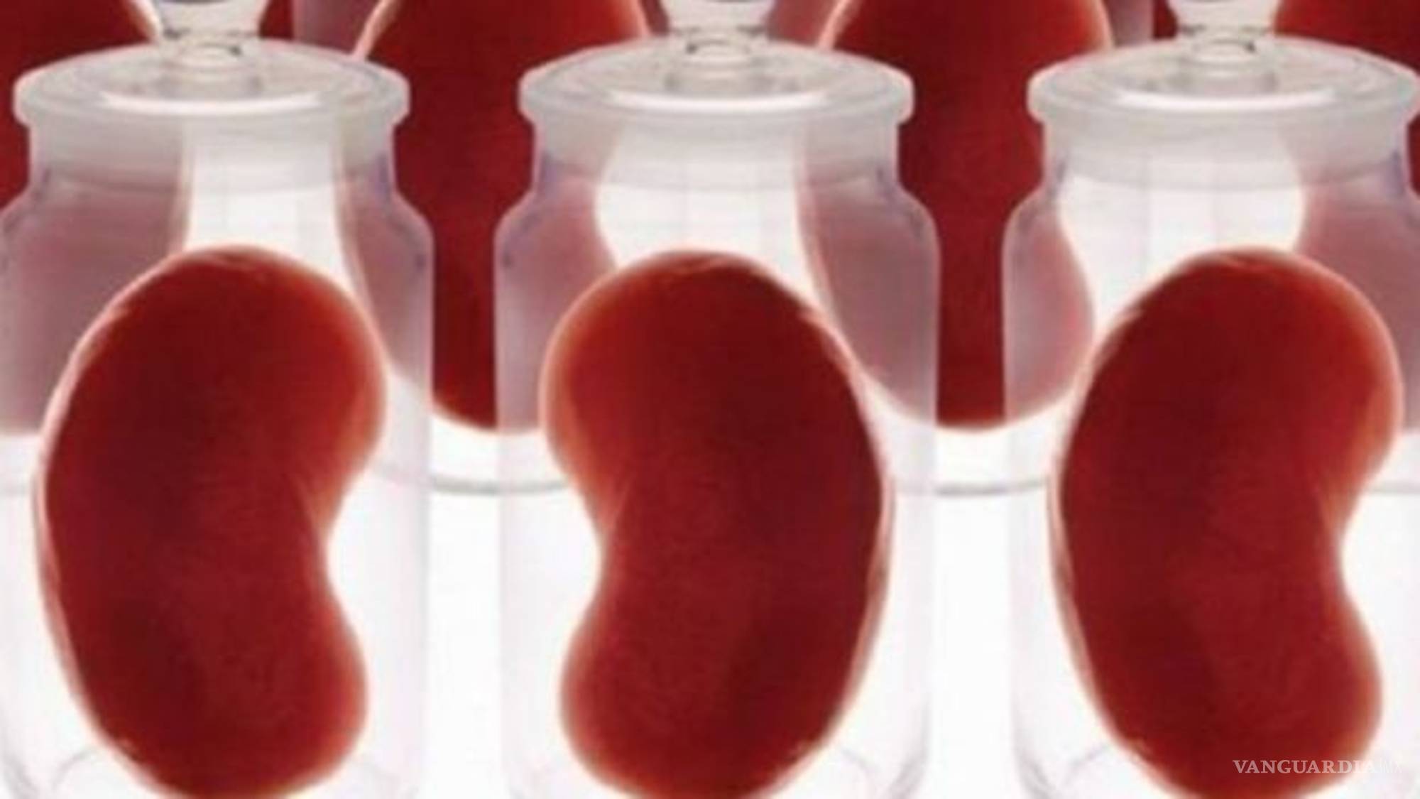 $!Alvin Roth, el premio Nobel de economía que sin buscarlo acabó salvando miles de vidas