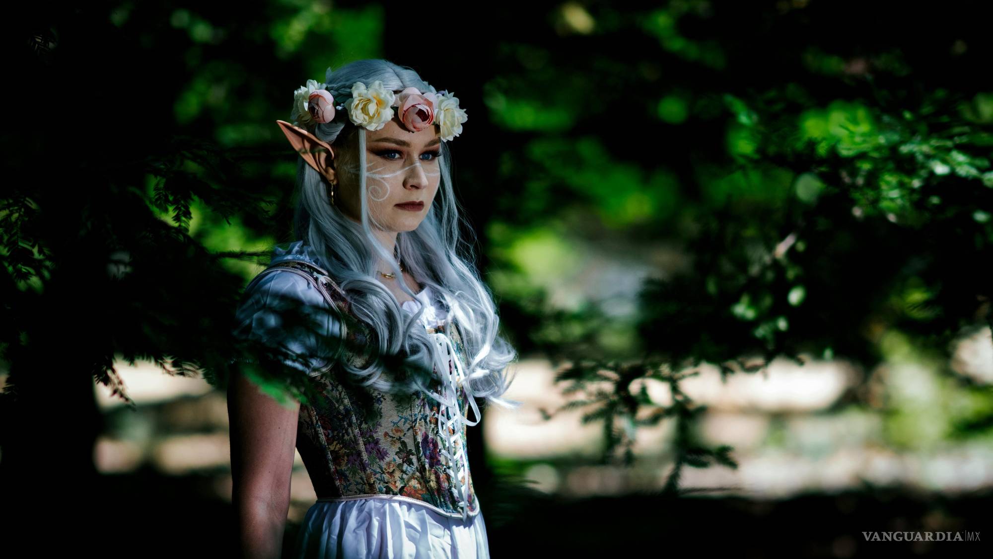 $!Al igual que los therians, los otherkin usan accesorios como orejas, pelucas o ropa, para mostrar su identidad.