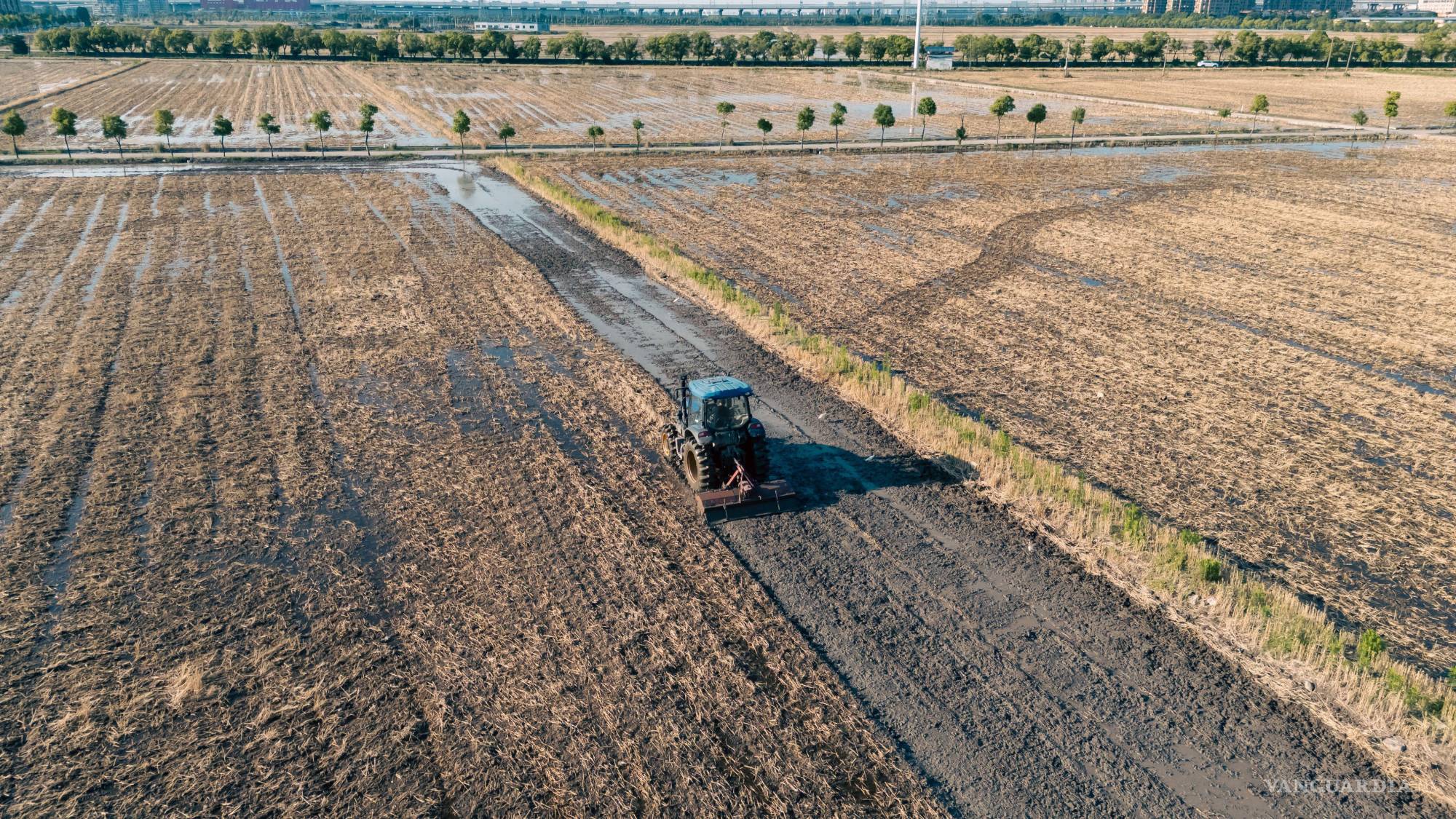 $!La recuperación de tierras permitió convertir zonas áridas del Gobi en campos productivos.