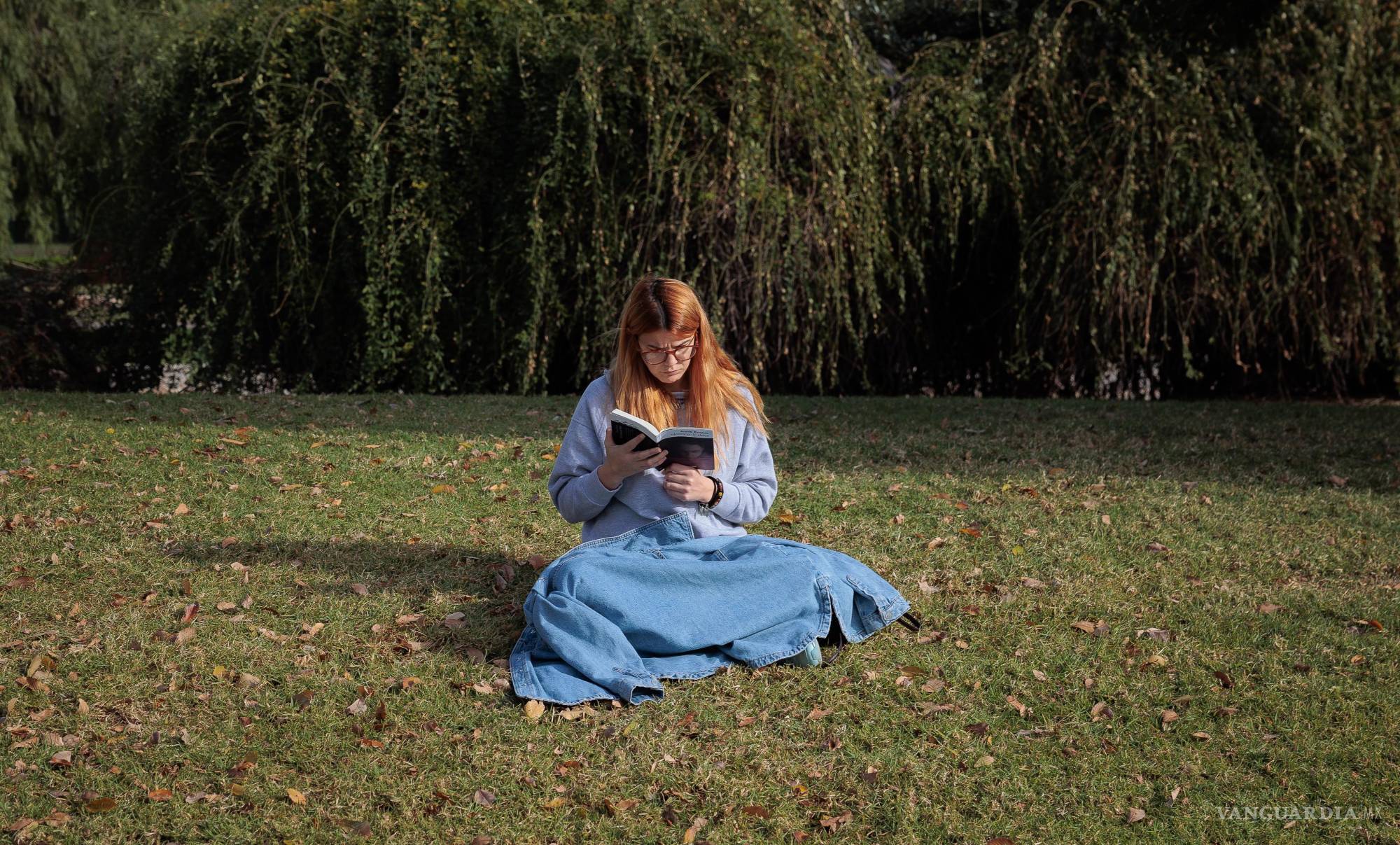 $!La alta sensibilidad se refiere a una mayor percepción y sensibilidad a estímulos del entorno, incluyendo luces, sonidos y texturas.