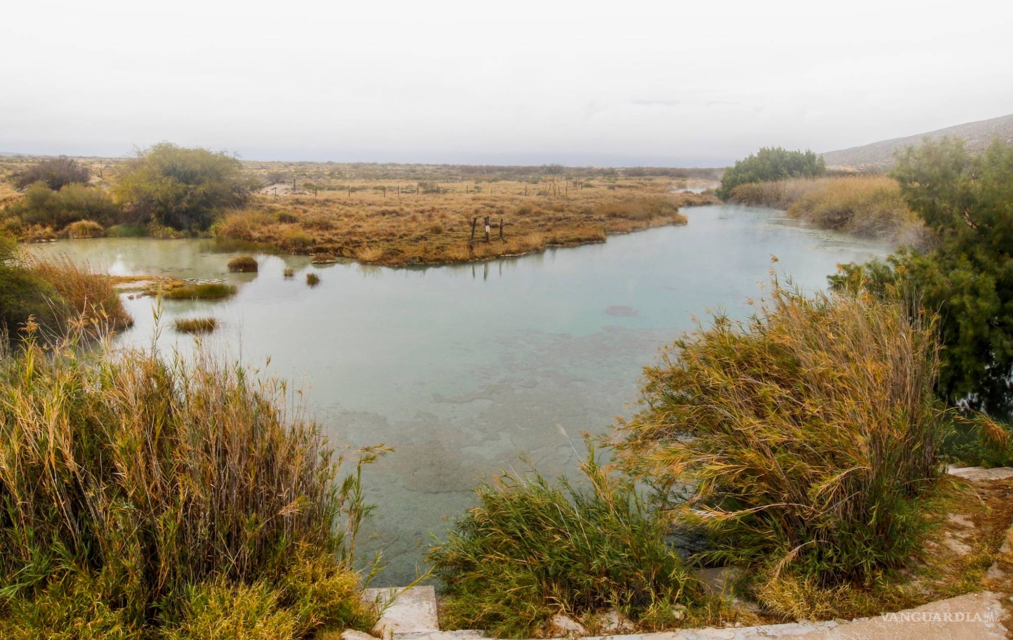 $!Valle de Cuatro Ciénegas, al borde del colapso; trasvase de agua lo agobia