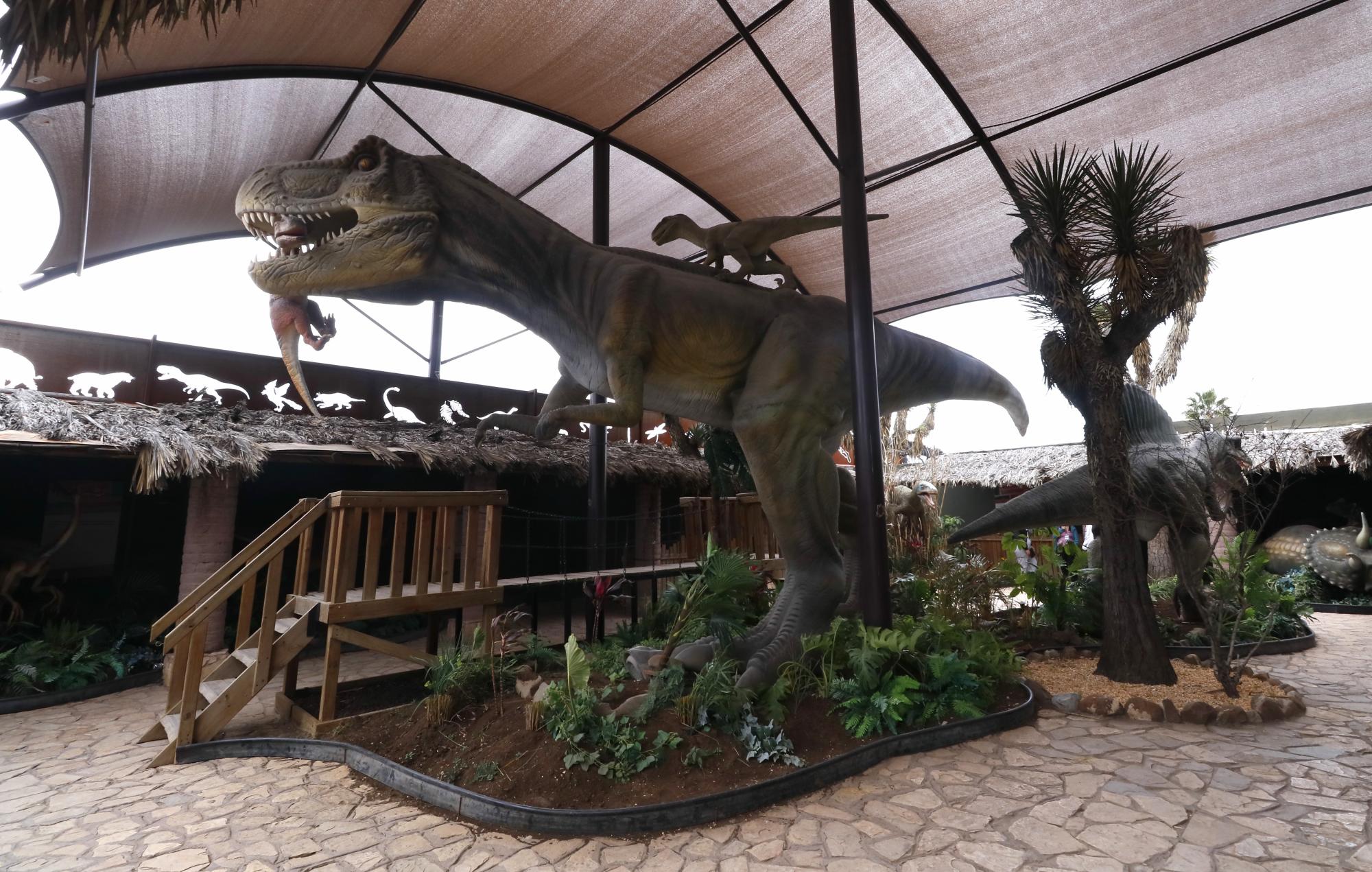 $!En la zona antes degradada del museo, ahora florecen jardines botánicos que resaltan la riqueza del ecosistema desértico.