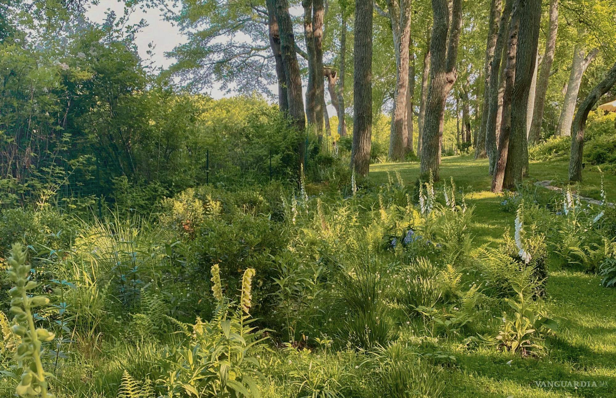 $!Grace confiesa que siempre quiso ser un jardinero o granjero.