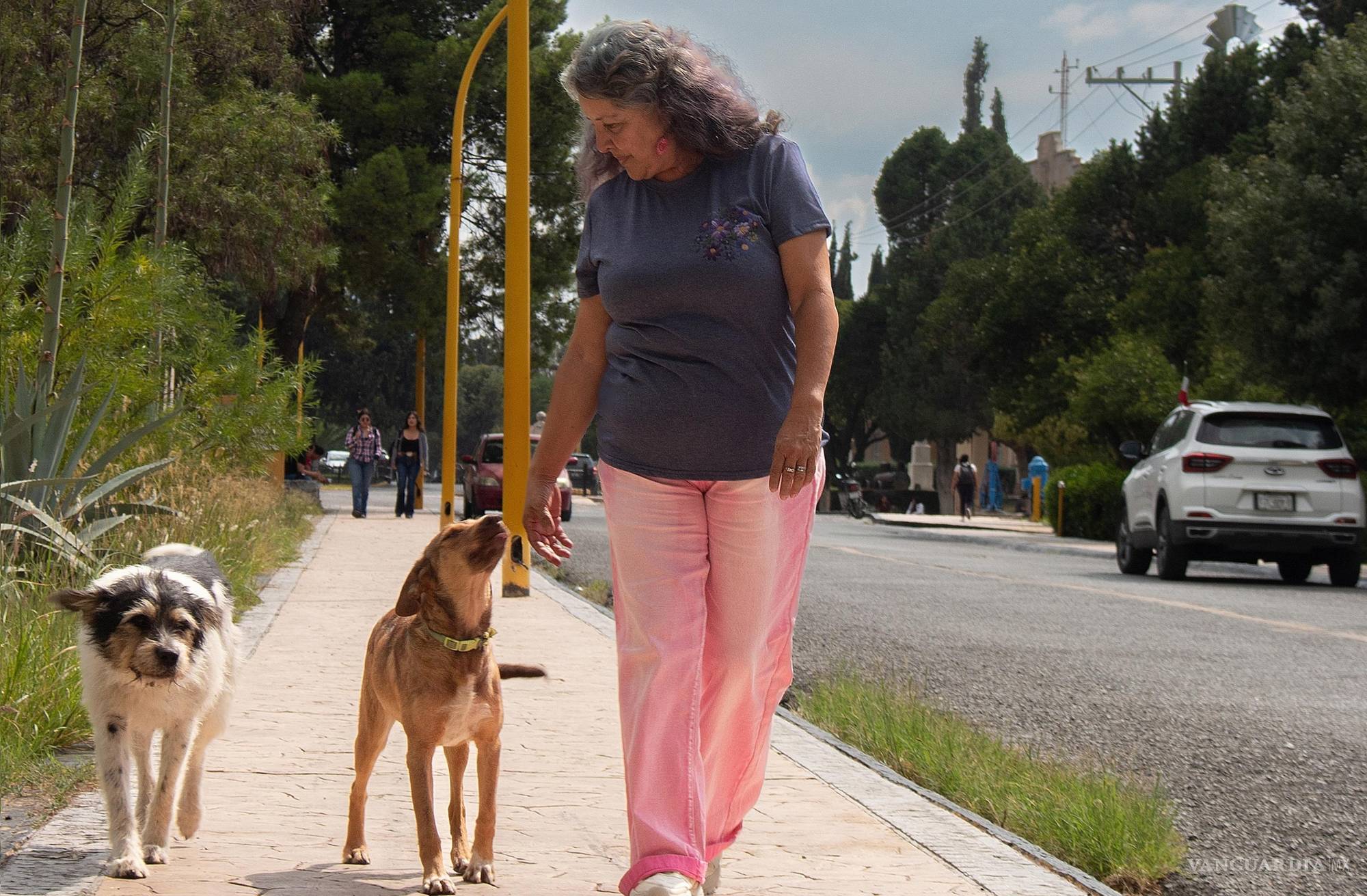 Perrunos UAAAN: El legado de Diana Rodríguez y su enseñanza de amor y bienestar por los animales