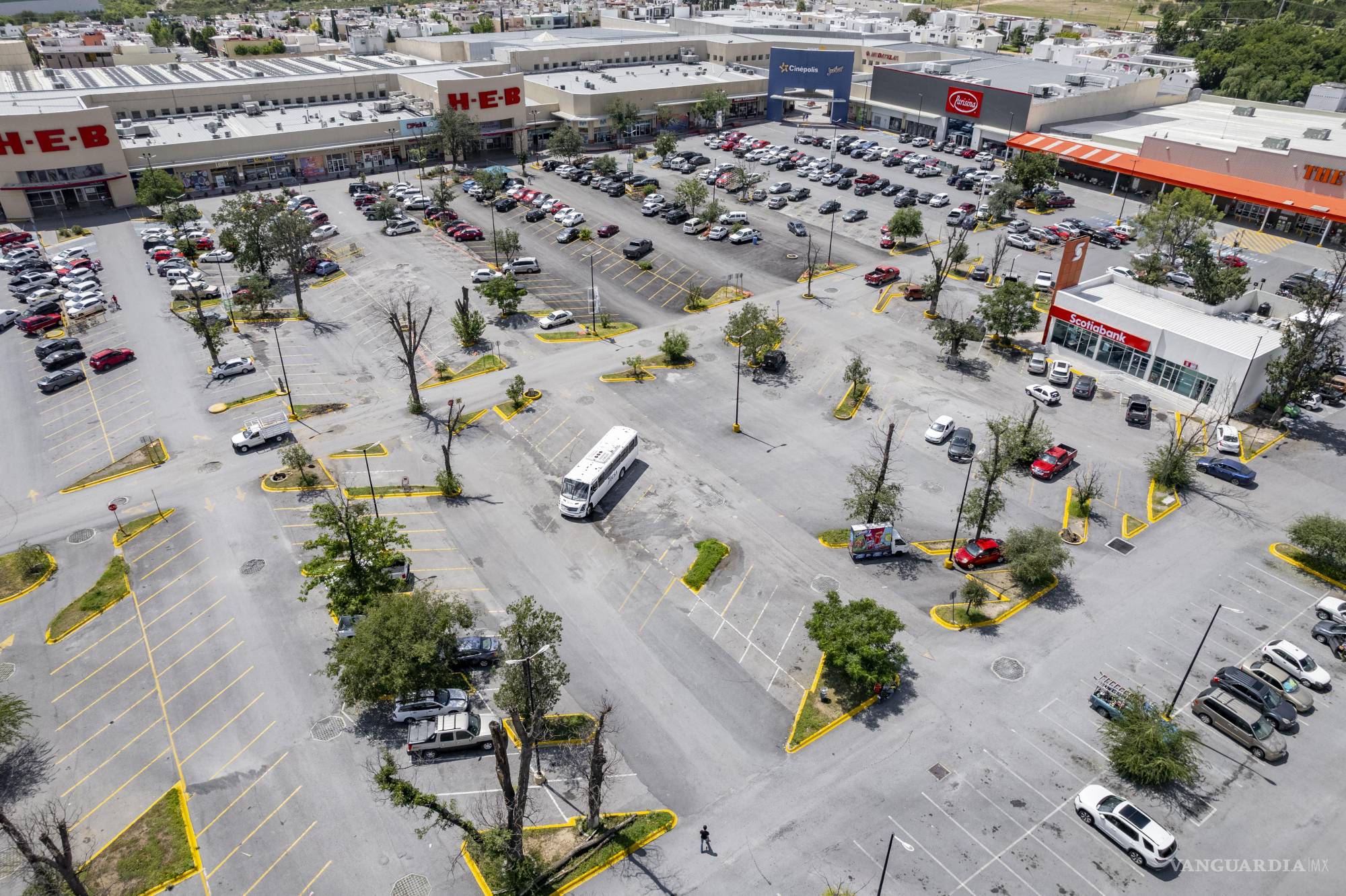 $!Había más de 500 árboles en esta zona. El espacio fue utilizado para brindar un amplio estacionamiento.