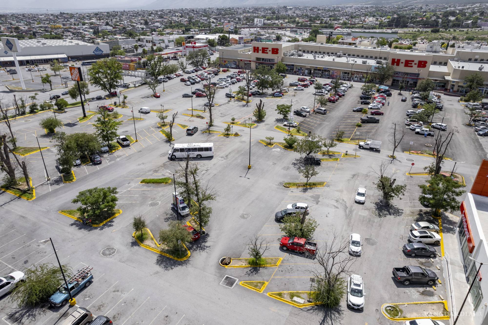 Veinte años y siguen cayendo, muertos, árboles en Plaza La Nogalera; causan daños a la ciudadanía